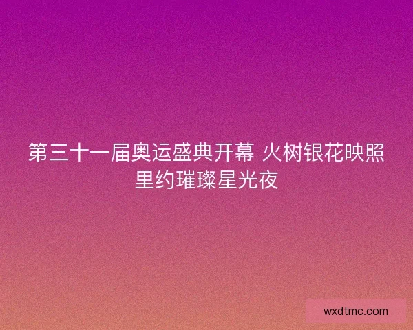第三十一届奥运盛典开幕 火树银花映照里约璀璨星光夜