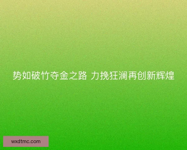 势如破竹夺金之路 力挽狂澜再创新辉煌