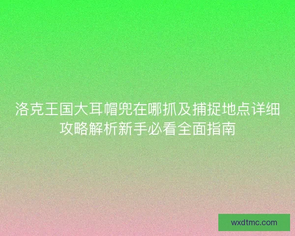 洛克王国大耳帽兜在哪抓及捕捉地点详细攻略解析新手必看全面指南